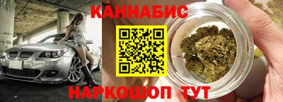 крисы Новокубанск