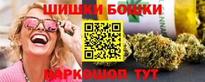 крисы Новокубанск